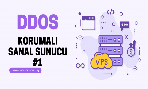 Ddos-protected virtual serve...