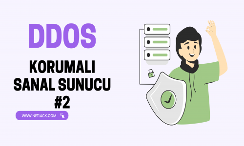 Ddos Protected Virtual Serve...